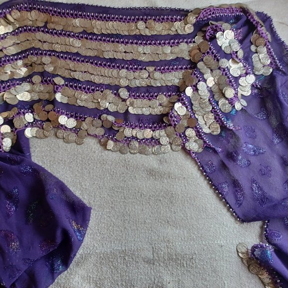 Handcrafted Belly Dance Costume Sets and Hip Scarves for Sale - Picture 15 of 15